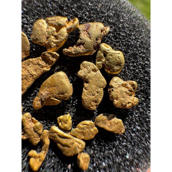 California Gold Nuggets in Display Case - 1.90 grams - Picture 4 of 7